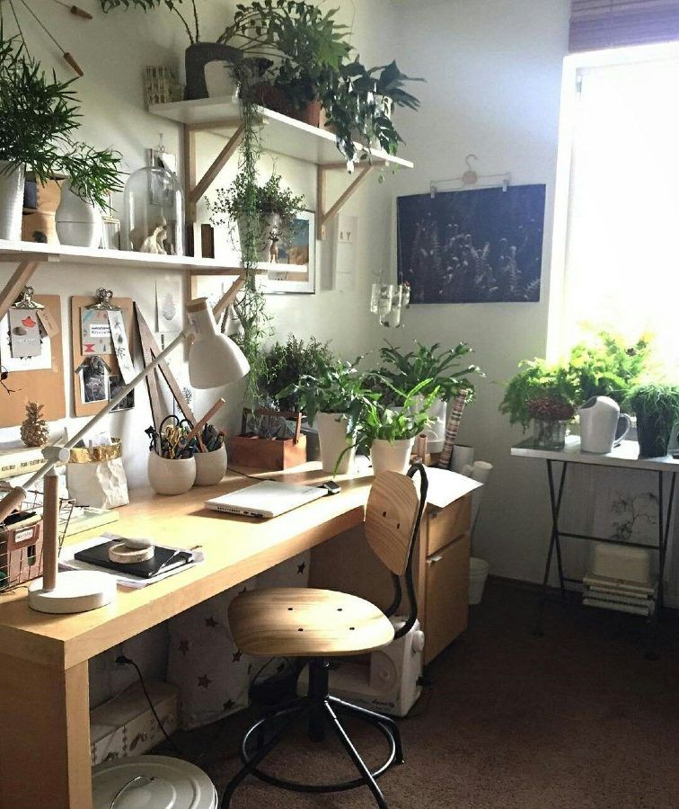 Home office filled with plants