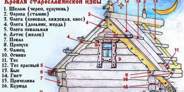 Быки