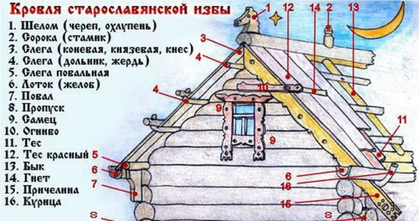 Быки